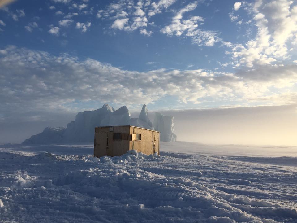 AudlalukWatskoLaisaUntitled