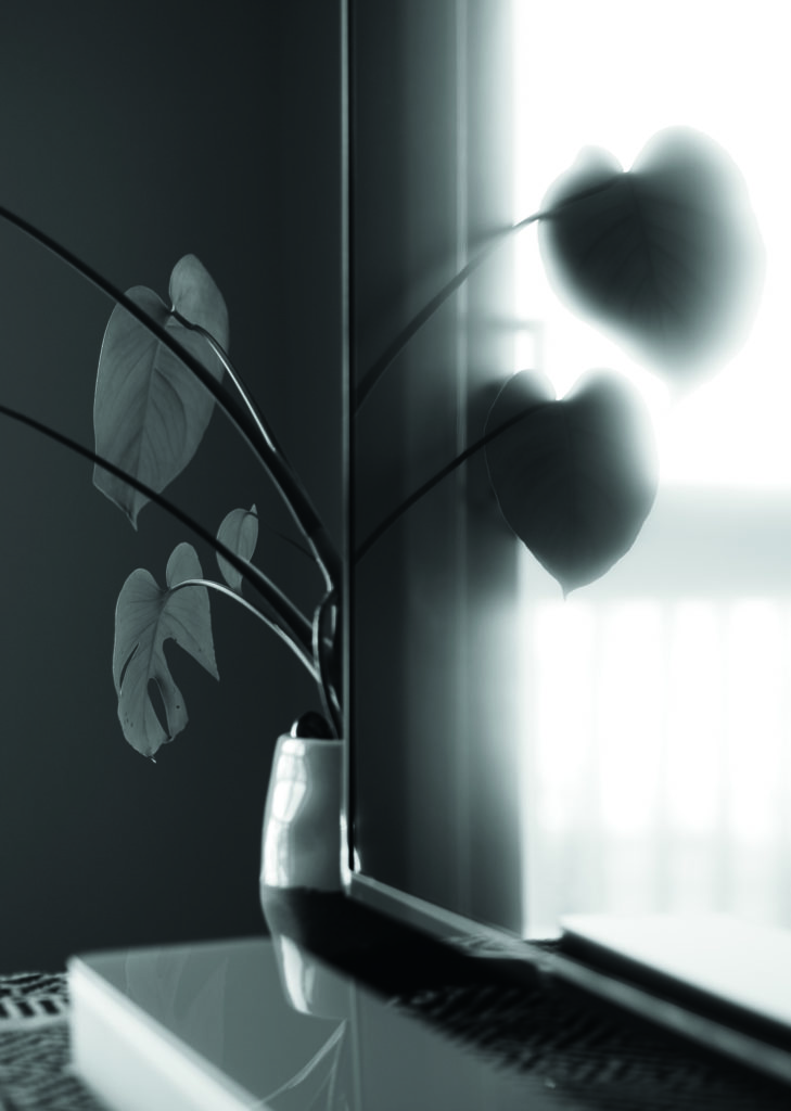 BLechertChristopherReflection