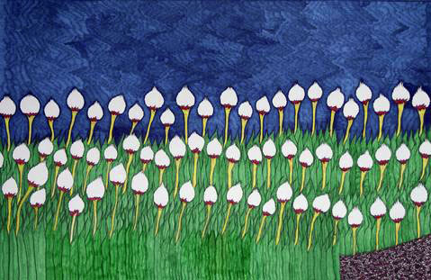 NicotyeSamayualieLotsofCottonFlowers2013