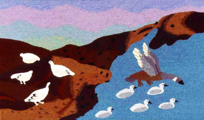 AkulujukMalayaKungukProtectsHerYoung