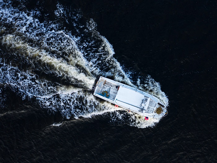 AllenEldredASeagullsView