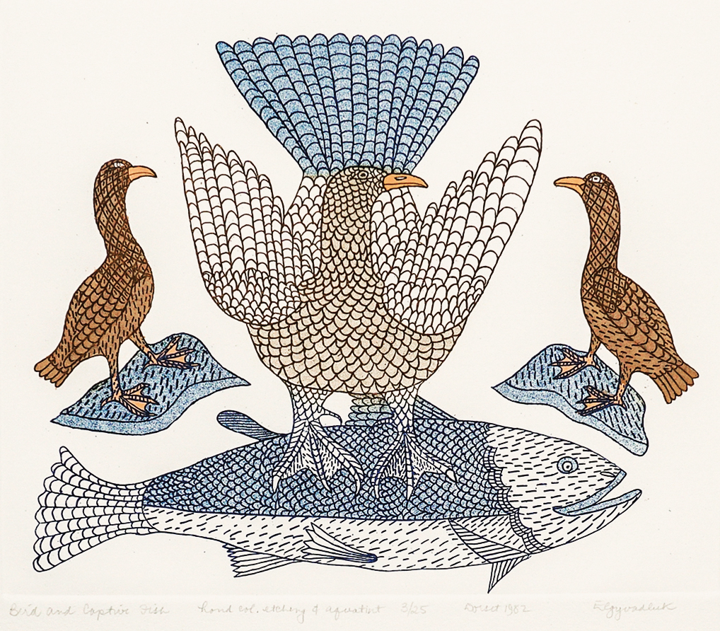 RageeEegyvudlukBirdAndCaptiveFish