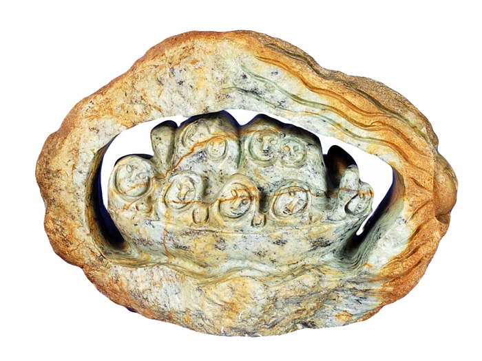 FaberJonasieUmiaqFamilyWhite