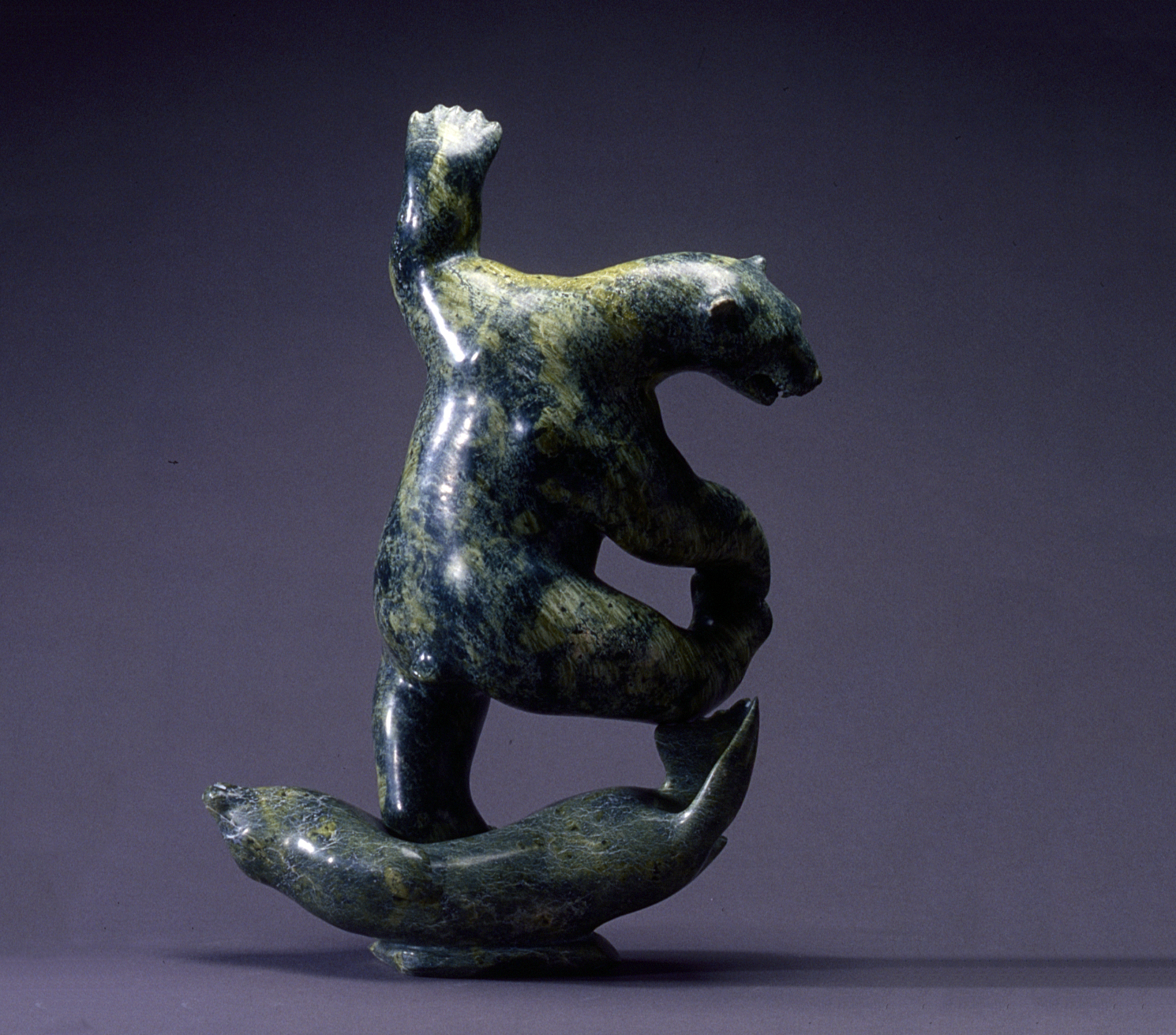 AtchealakDavieDancingBearOnASeal