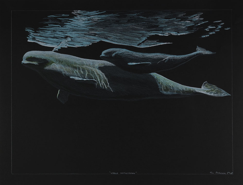 PitsiulakTimWhaleReflections