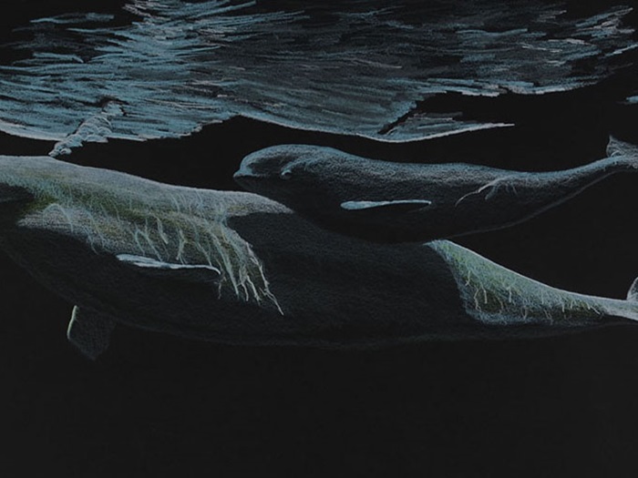 PitsiulakTimWhaleReflectionsBanner