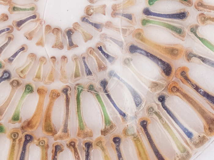 Maureen Gruben Waiting For the Shaman