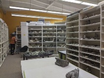 Courtesy Jocelyn Piirainen