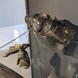 Courtesy Jocelyn Piirainen