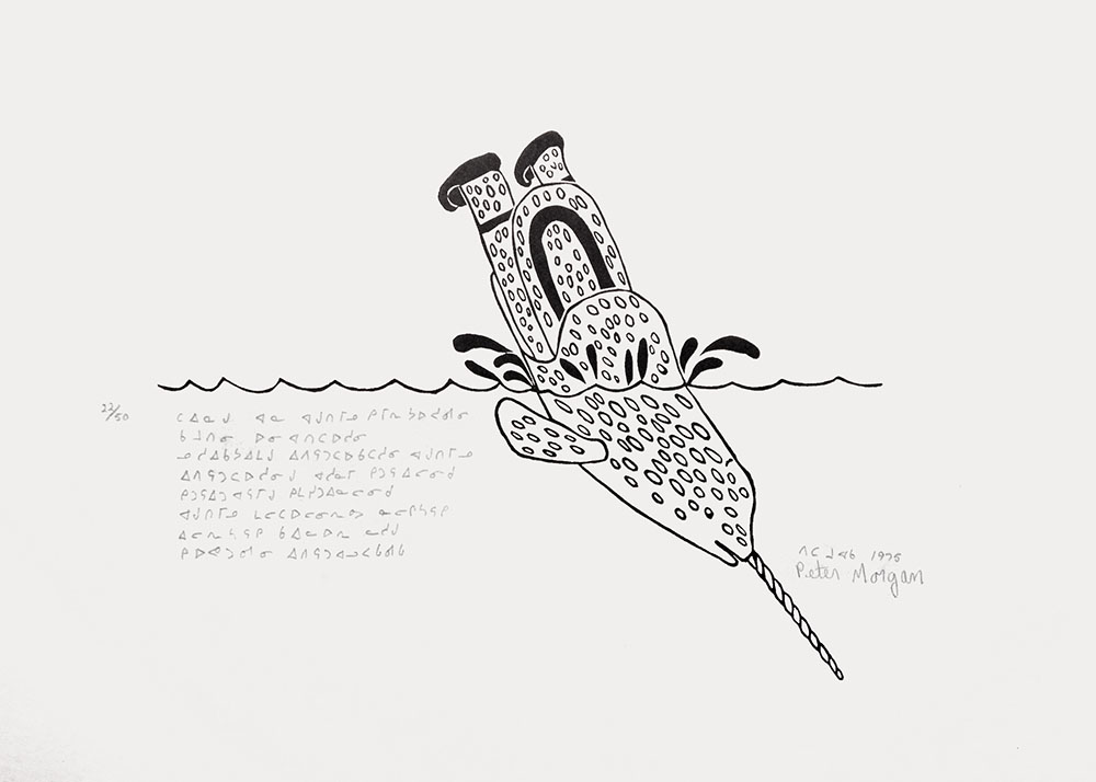 MorganPeterTheLegendOfTheWomanWhoBecameANarwhal