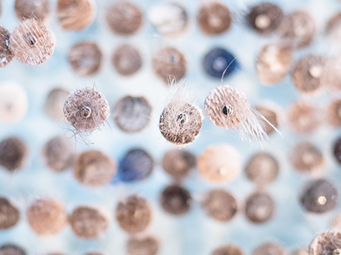 grubenmaureenbreathingholedetail6FBCrop