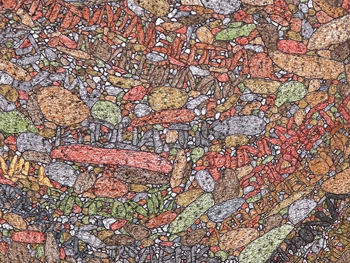 SamayualieNicotyeNamesOutOfRocksDetailCrop