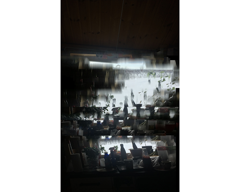 PartridgeTaqralikMessOnTheCounter