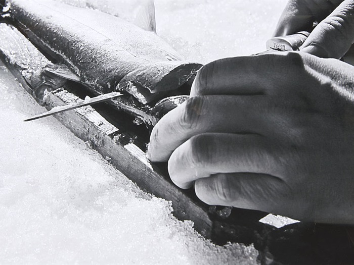 JennieWilliams_NainArcticChar3