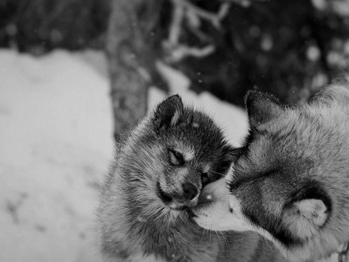 Holly Andersen Untitled (2018) Digital Photograph