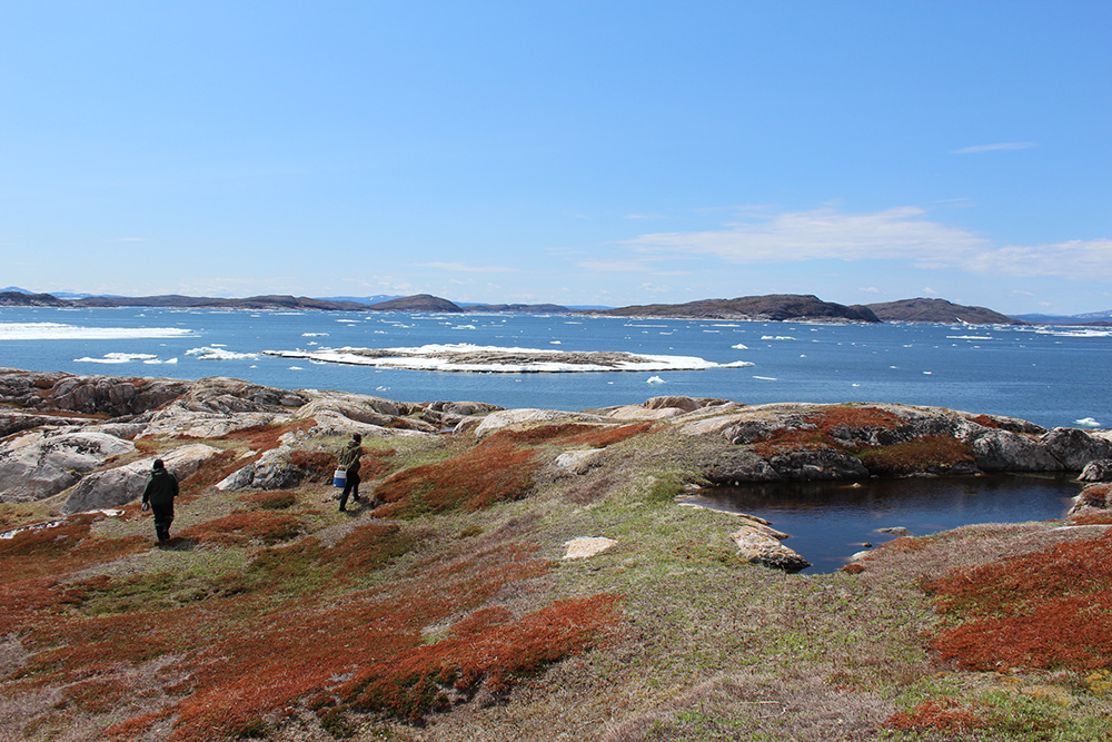 2_AndersenHolly_EggHunting