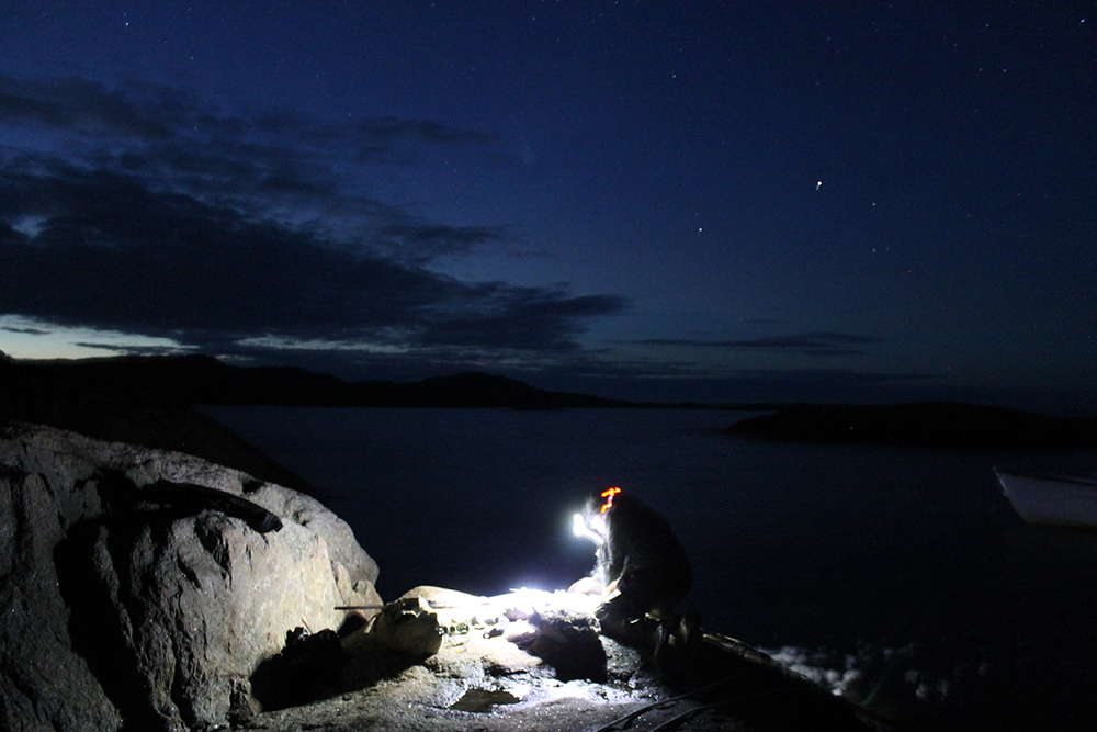 5_AndersenHolly_HuntingAtNight