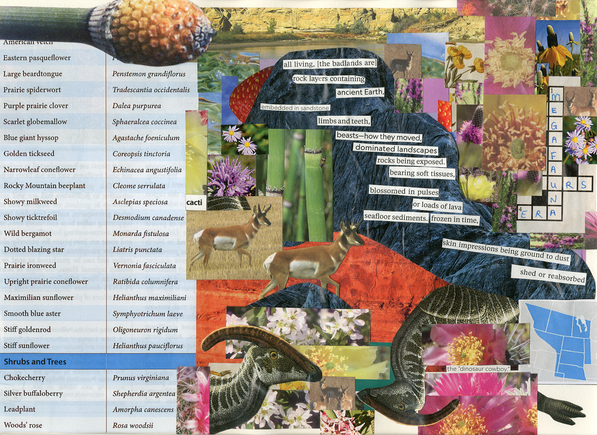 feature_OEegeesiak_terraform_unearth