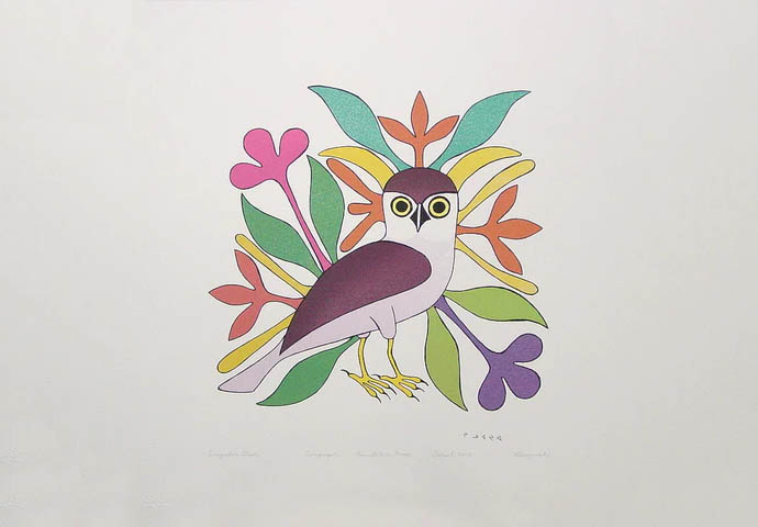 AshevakKenojuakSingularOwl