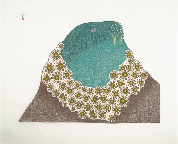 Blue Walrus Ning Teevee