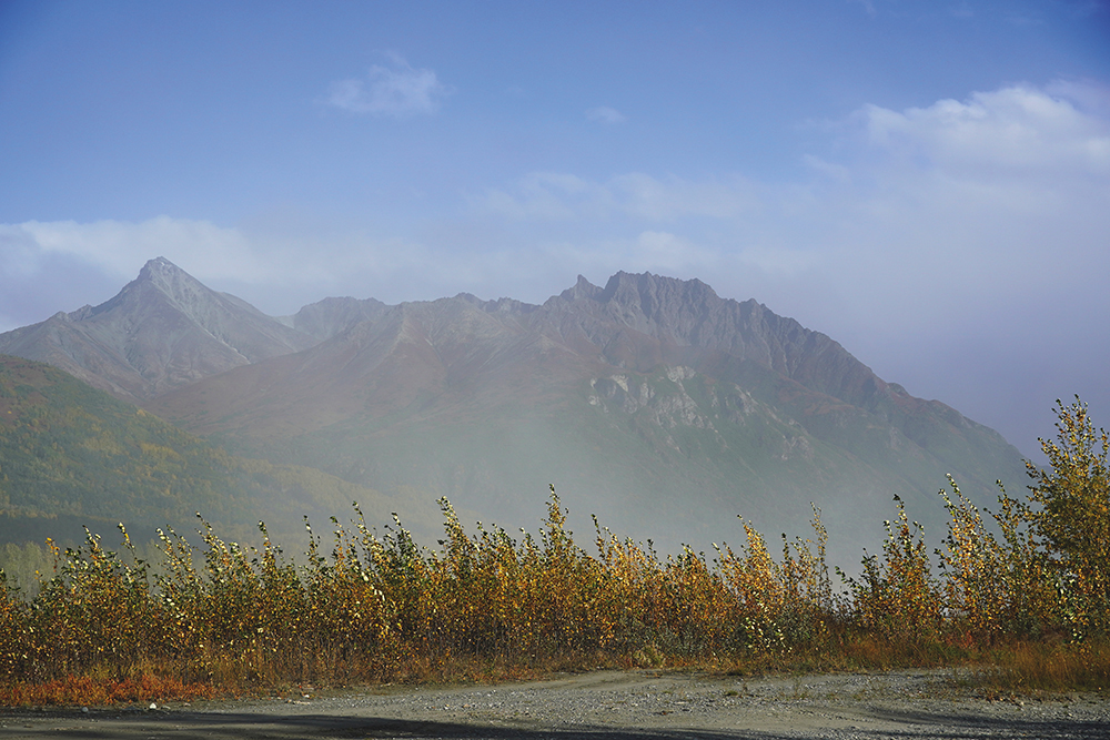 MelissaShaginoff_InCampaignForAcknowledgment_DustInPalmer_2020-present