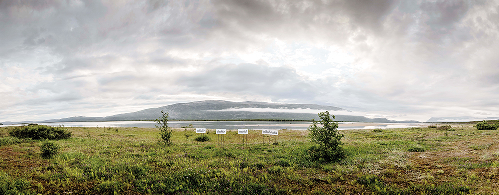 NiilasHolmbergJenniLaitiOutiPieski_RajacummaKissFromTheBorder_OnlyTakeWhatsNeeded_2017-18