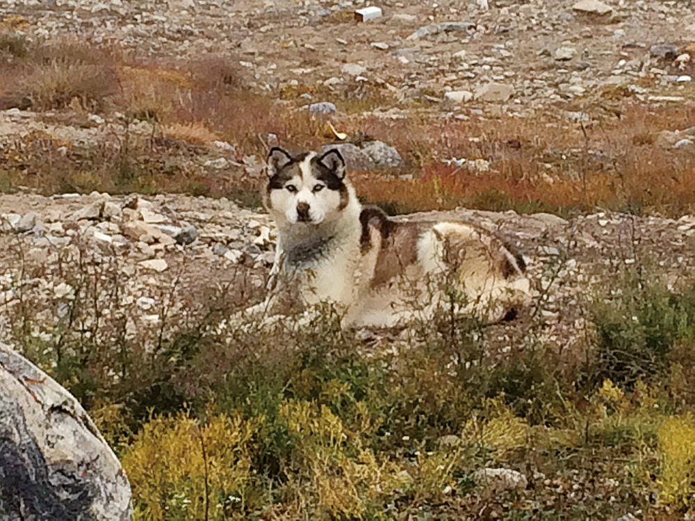 UPuqiqnak_PhotoEssay_12