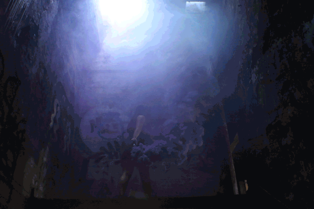 GIF_TakpannieKatherine_Purple_Ittiujaq