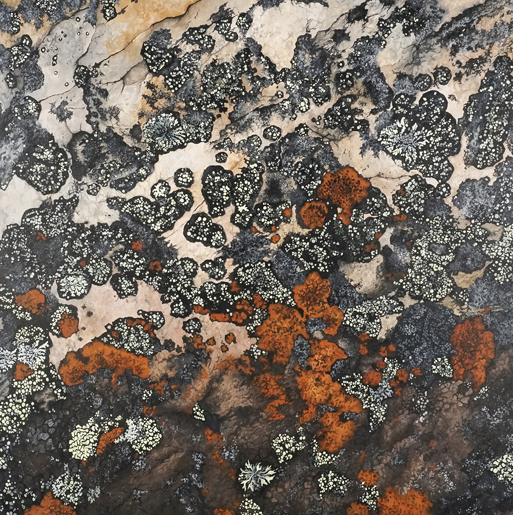 WintersJessicaLichenHopedale2