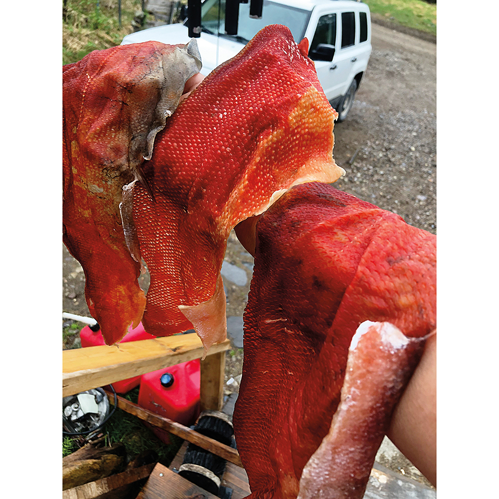 36.4_Legacy_IMG_9080