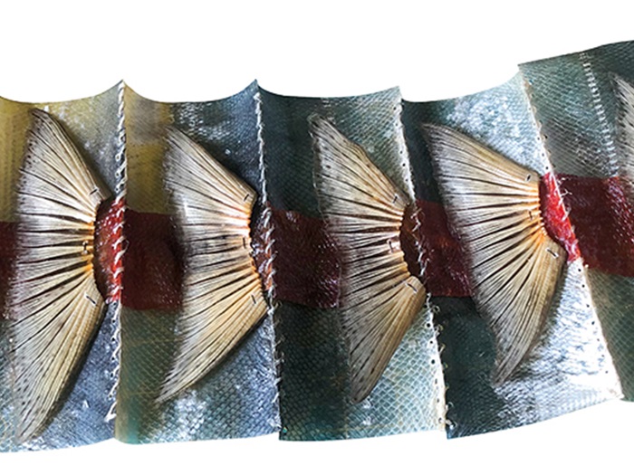 36.4_Legacy_IMG_9134