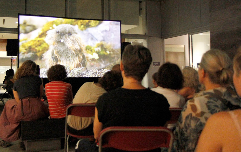 tillitarniit_2018_screening_resized