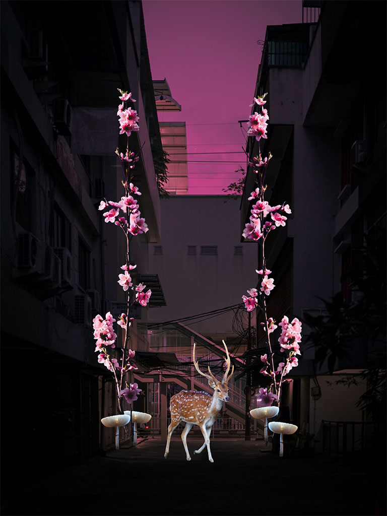 Chantal Jung - Deer at Night (2023)