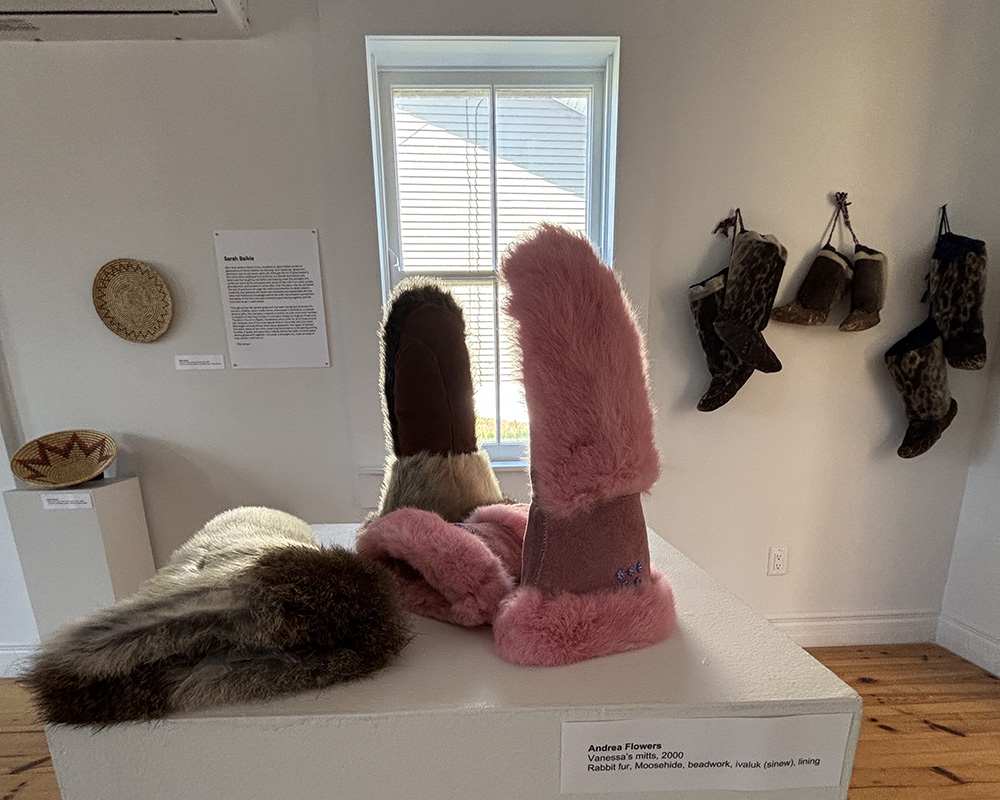 AFlowers_Bonavista Biennale