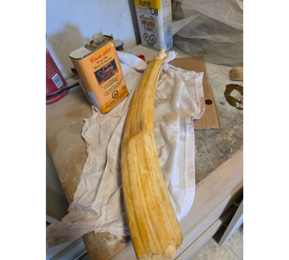 DTaylor_oiling ivory