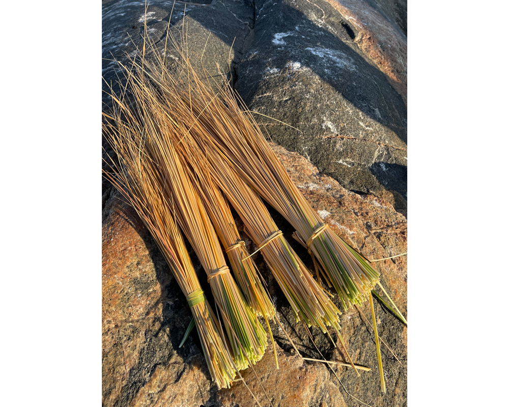 EJacque_salt water grass - grasswork article