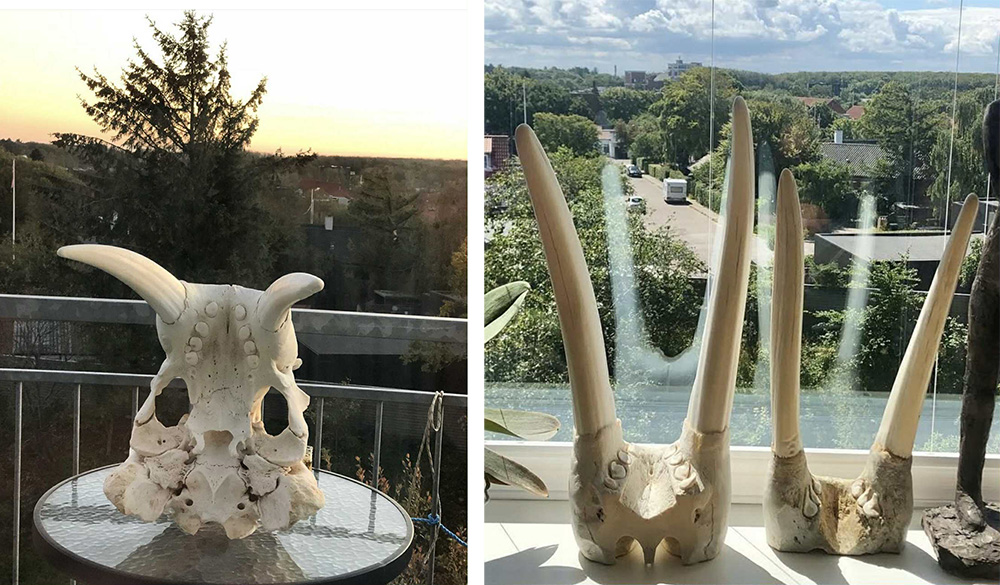 SunlightDryHansPeterTobiassen