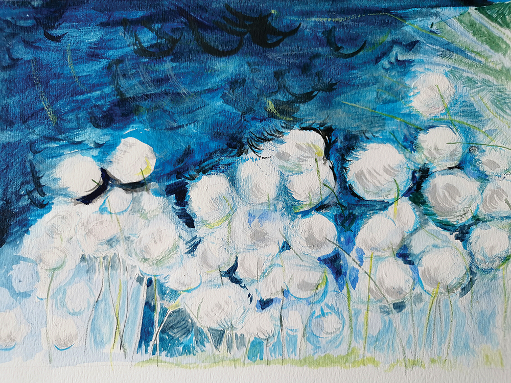 34.3_Feature2_ArcticCotton_2017